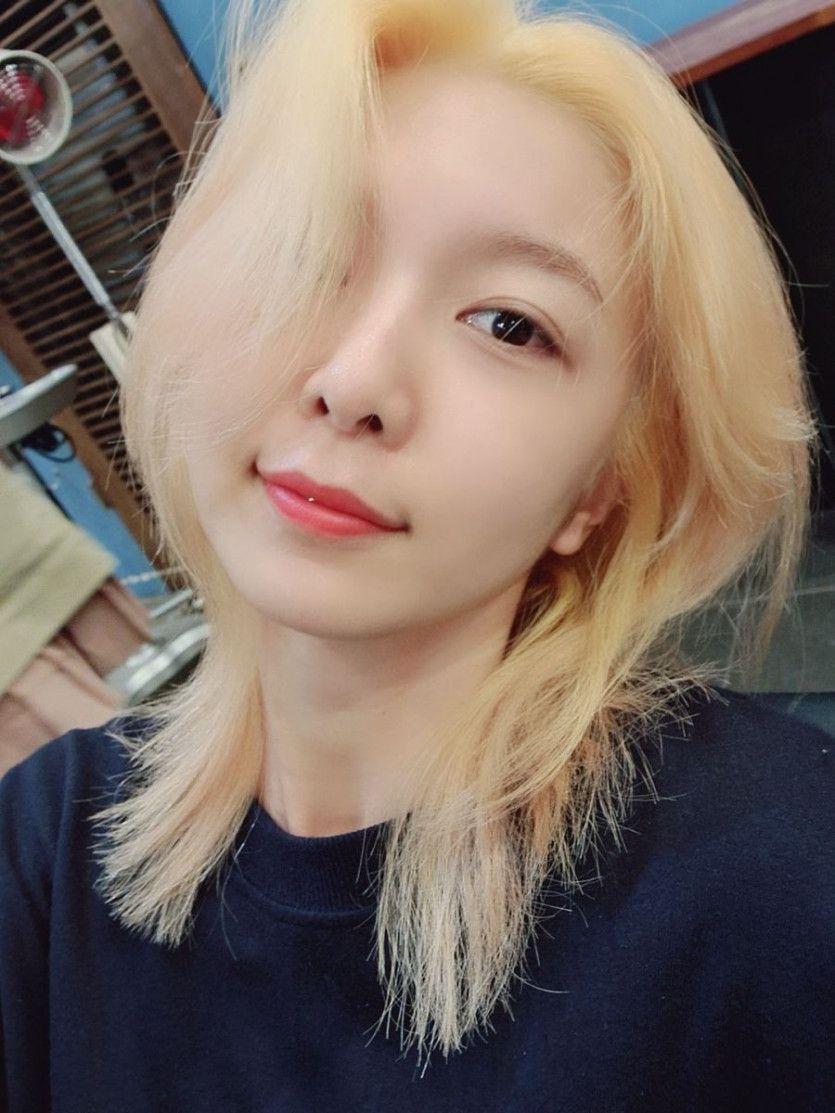 드림캐쳐 다미3