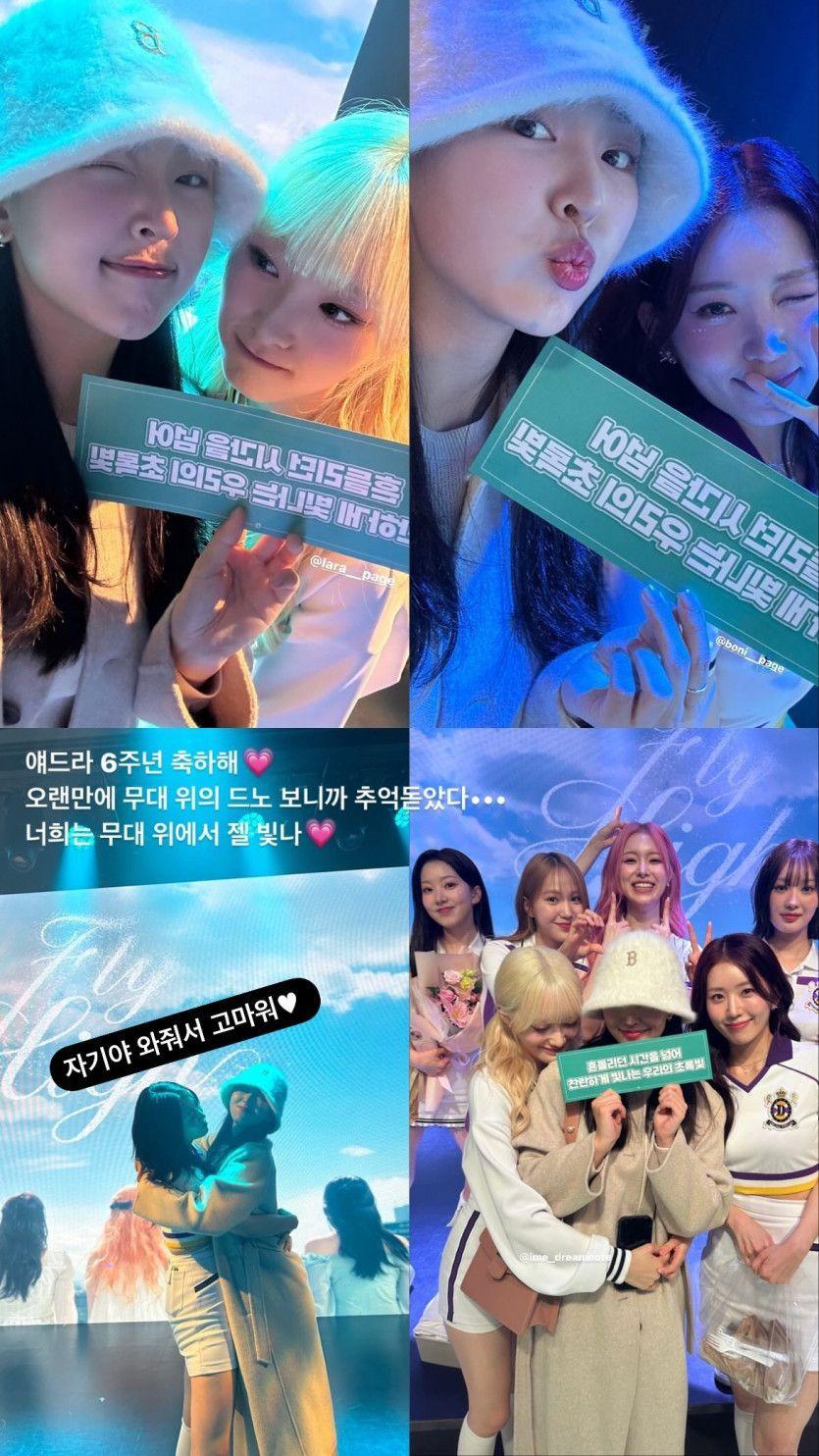 드림노트 보니6