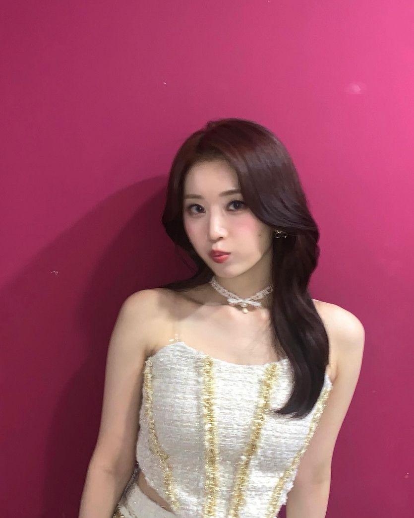 드림노트 보니5