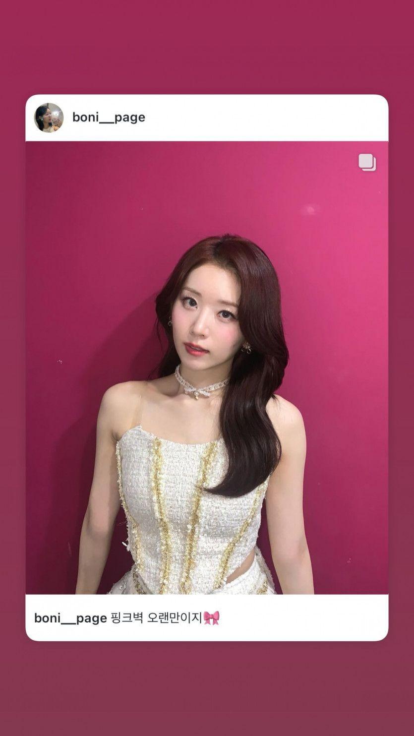 드림노트 보니8