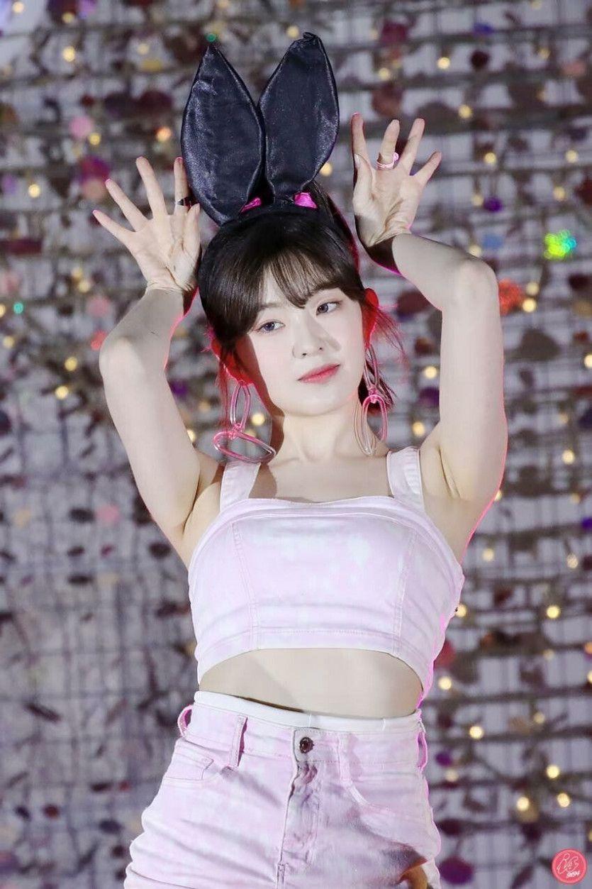 토끼 아이린0
