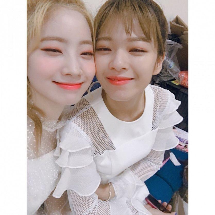 트와이스 다정0