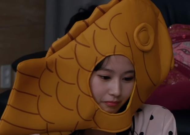 땅끝마을에서 붕어빵 팔아도 억대연봉 가능 사나0