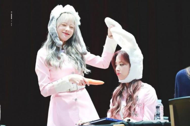 당근 먹는 토끼 보나2