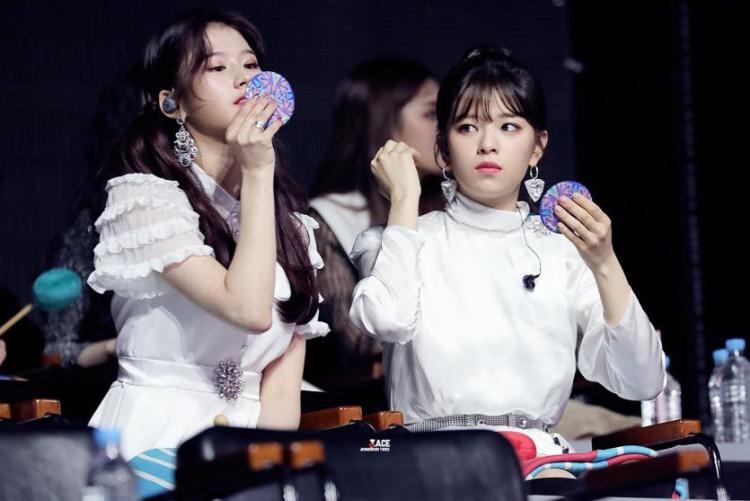 트와이스 정연,사나0