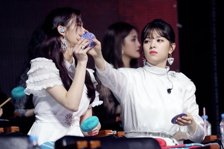 트와이스 정연,사나1