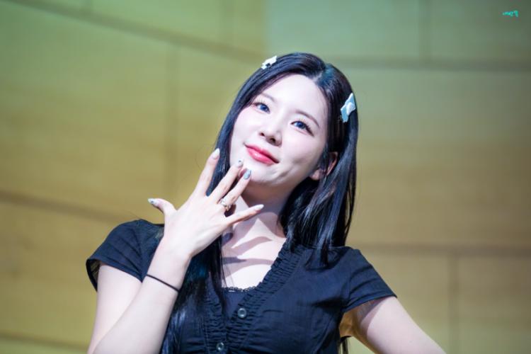 시그니처 셀린0