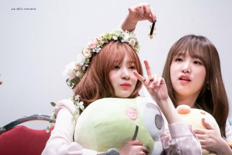 팬사인회 도마뱀 사건1