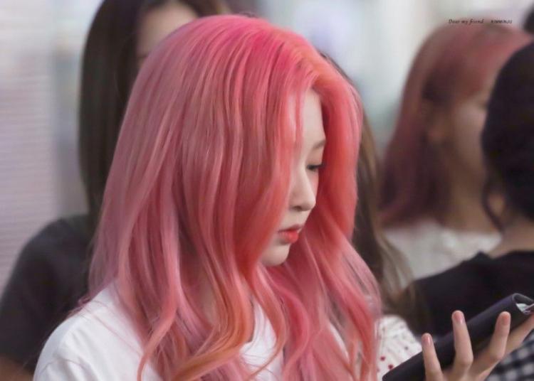 아름다운 핑크 민주0