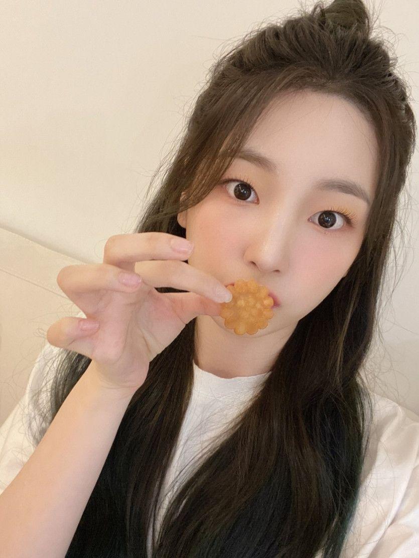 연희는 약과지1
