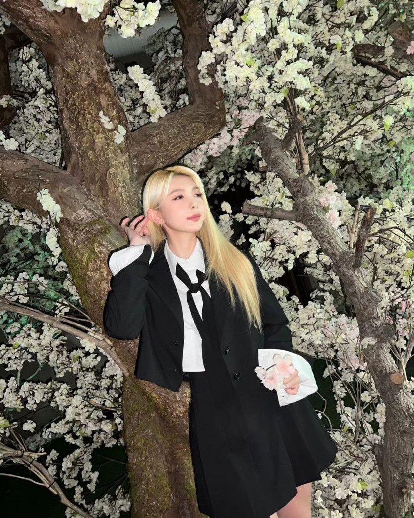 DREAMCATCHER DAMI0