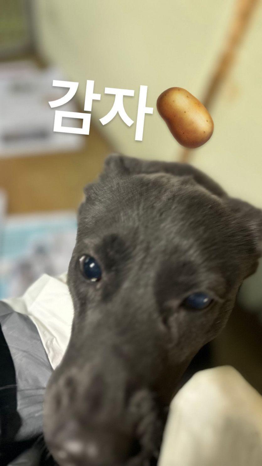 윤보미7