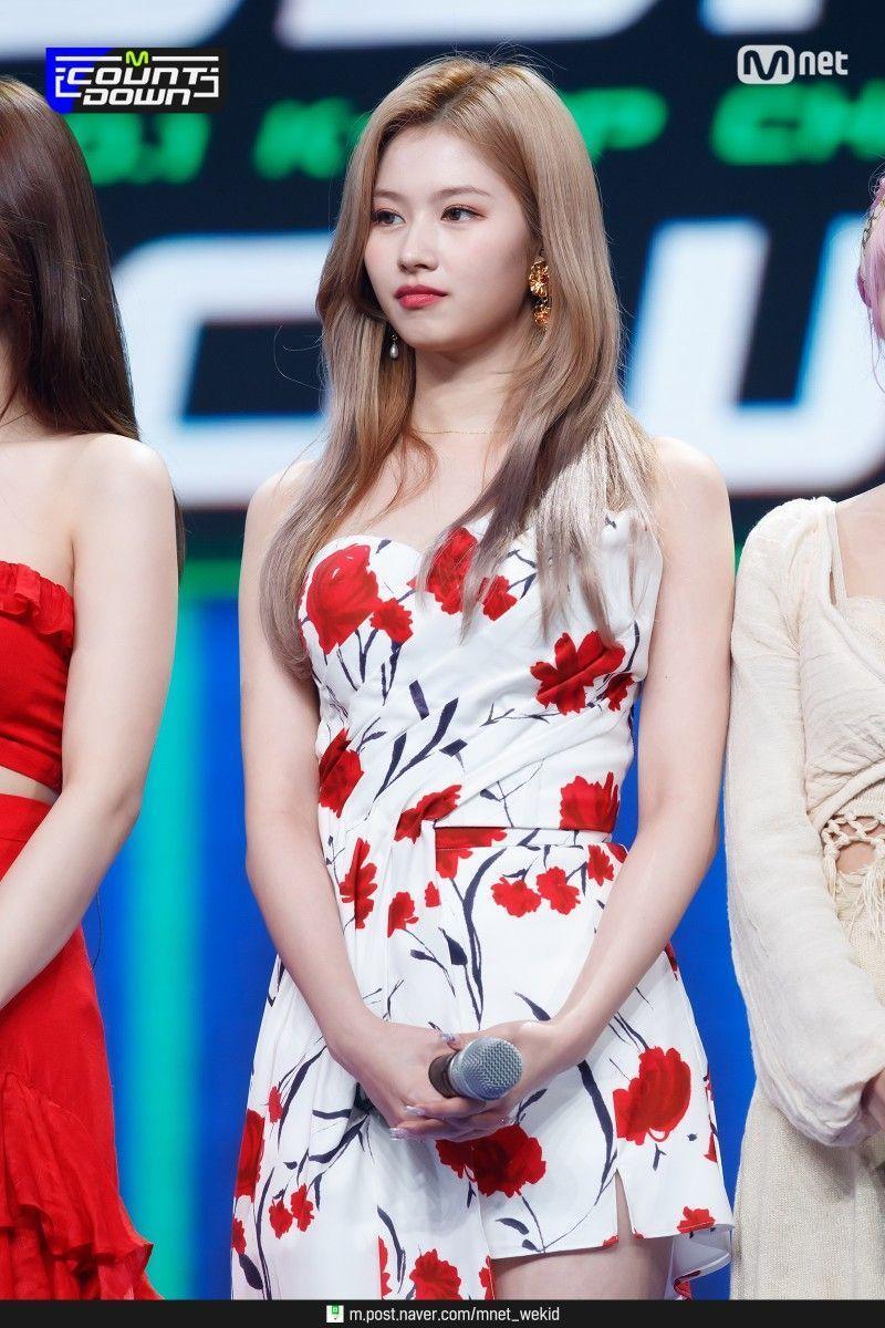 트와이스 사나0