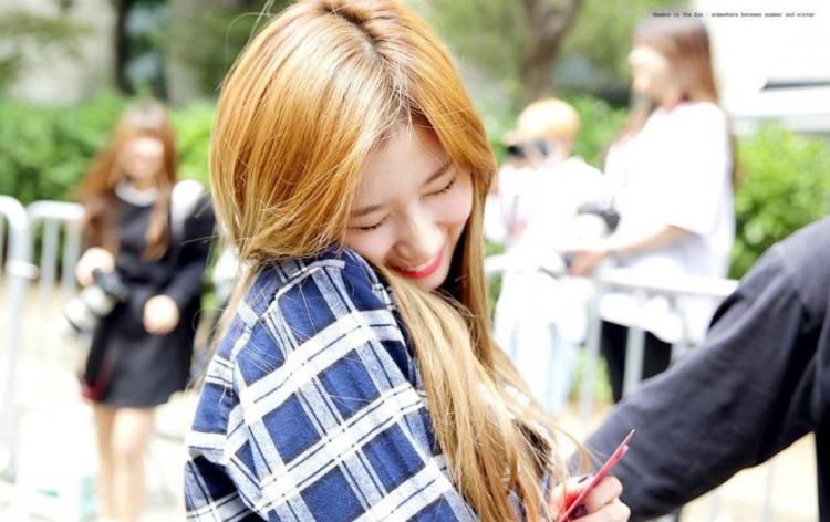 사나5