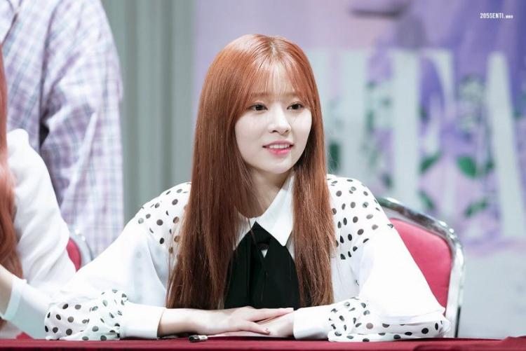아이즈원 김민주 최예나, 팬사 외 (20 p)2