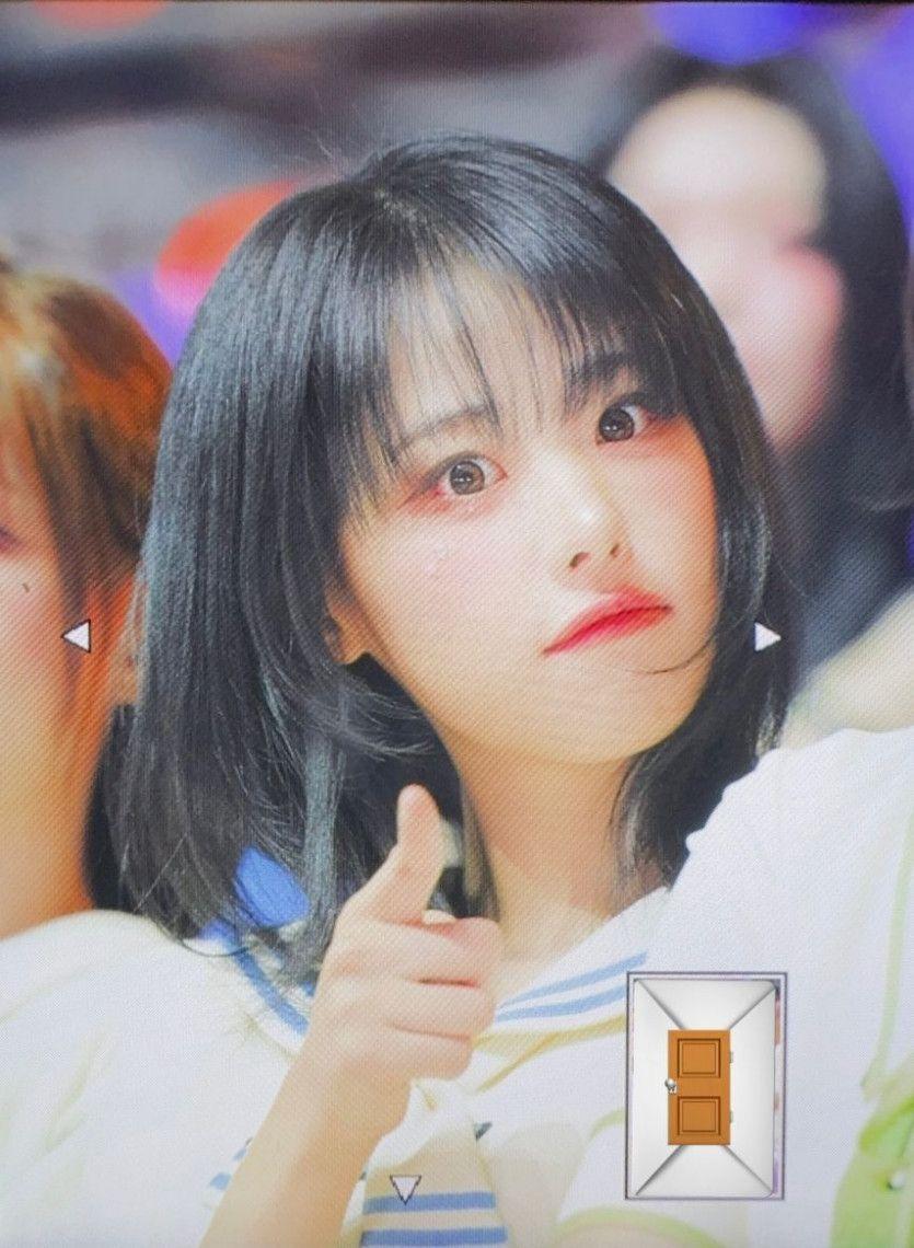히나0