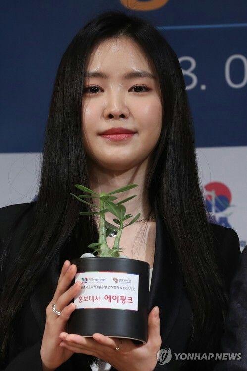 손나은0
