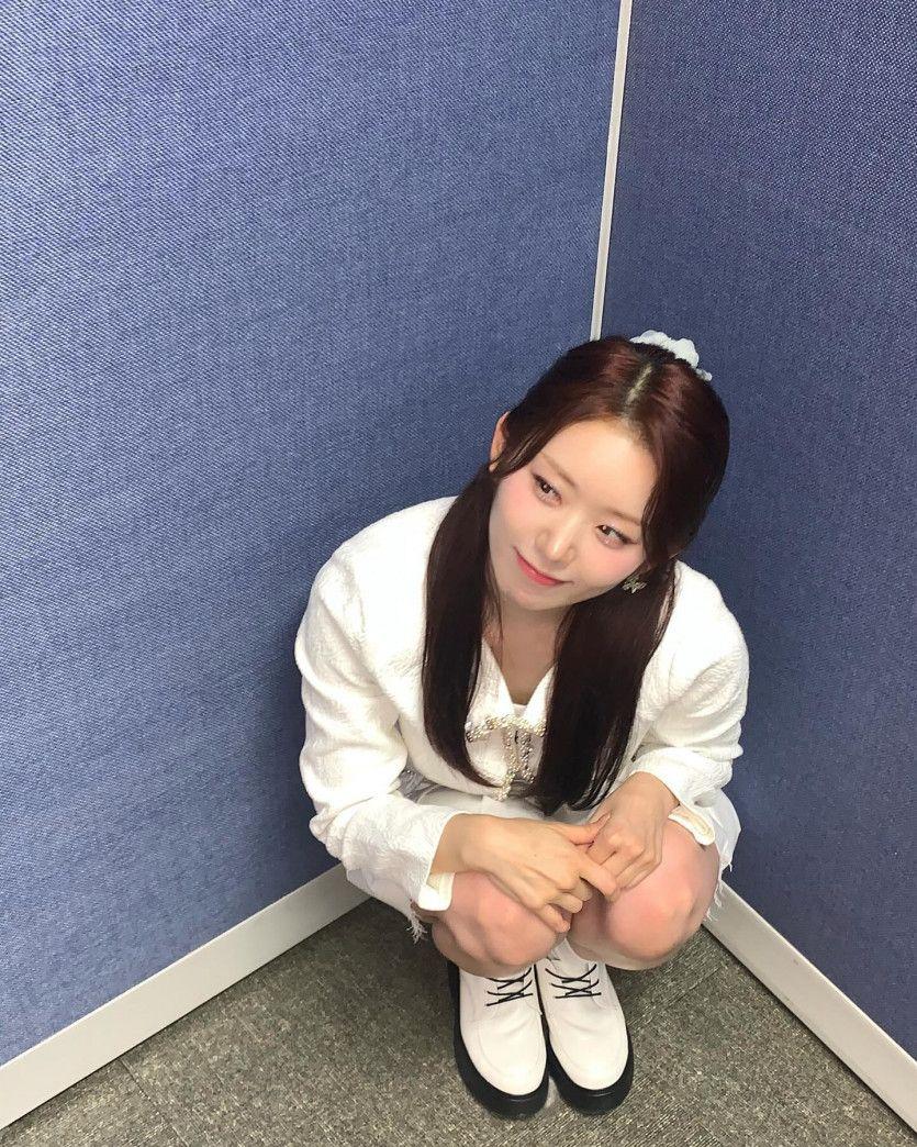 드림노트 보니0