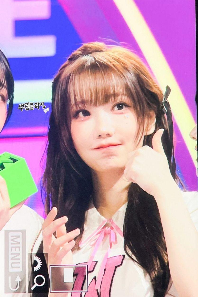 마젠타0