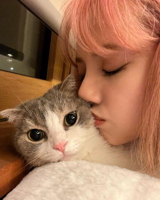 BLACKPINK 리사1