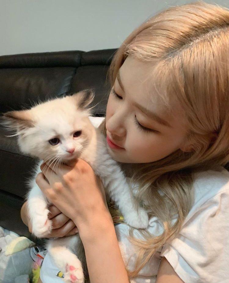 BLACKPINK 로제1