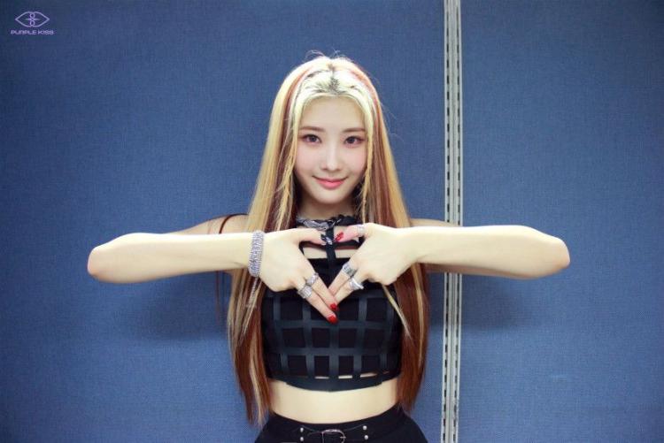PURPLE K!SS CHAEIN1