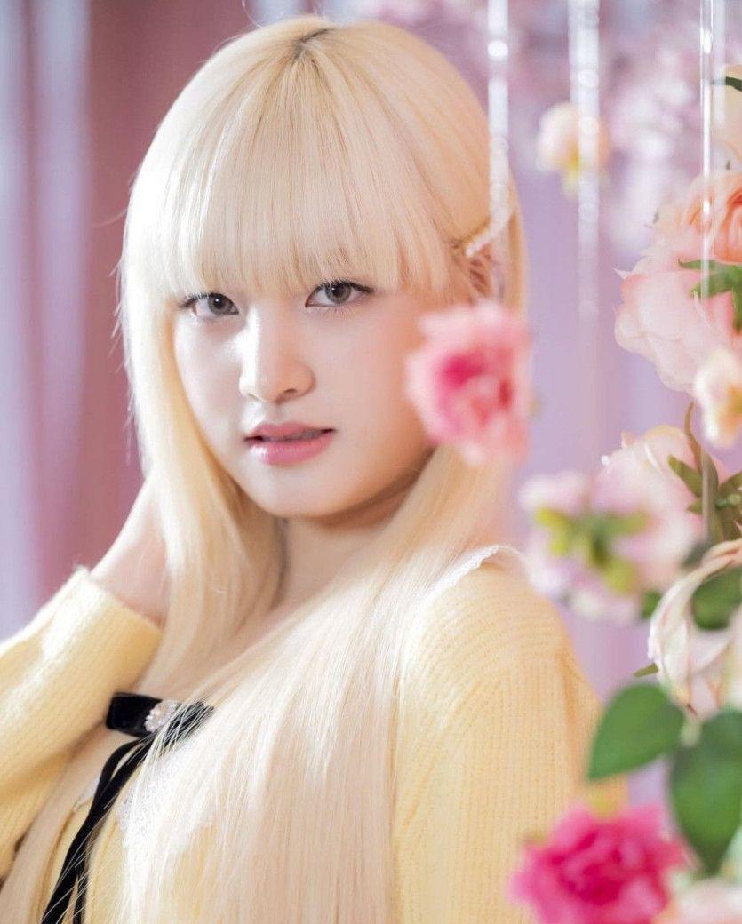 아이브 리즈0