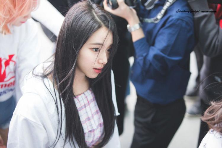 트와이스 채영3
