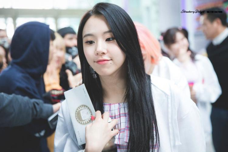 트와이스 채영6