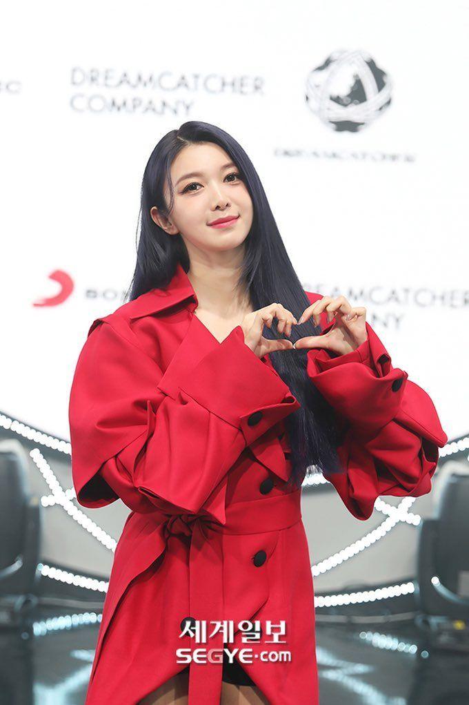드림캐쳐 다미0