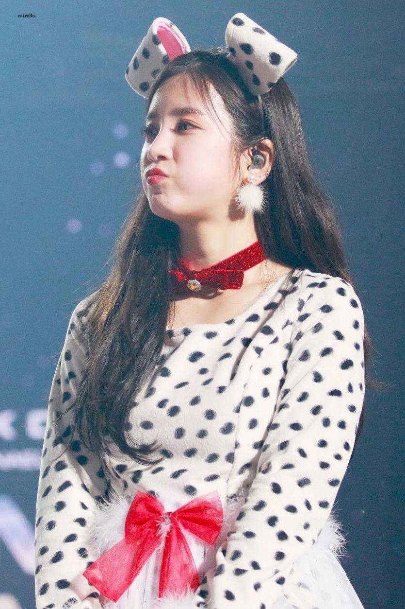 에이핑크 초롱0