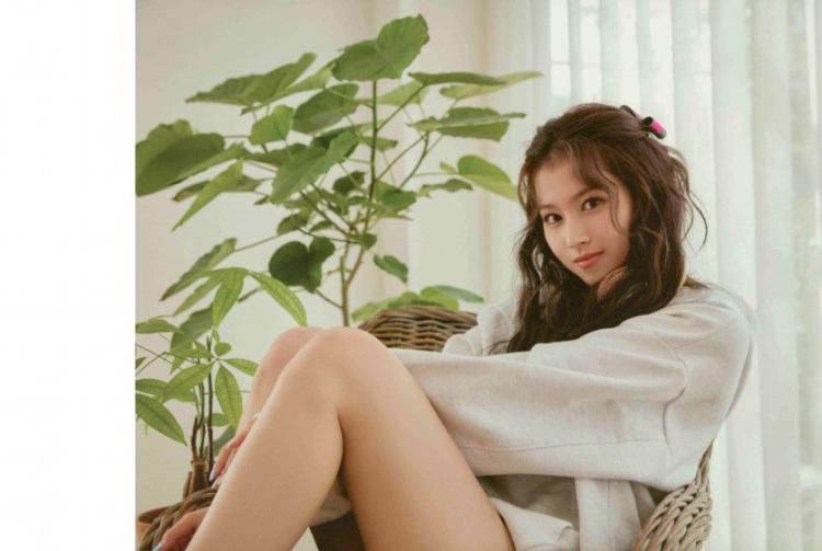 트와이스 사나0