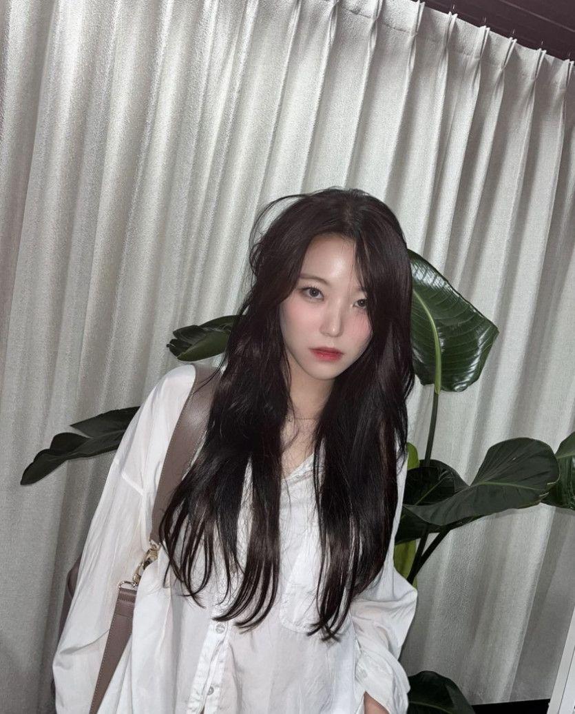 역시 백지헌4