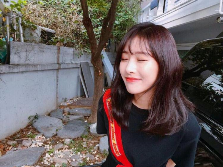 유니티 소나무 의진6