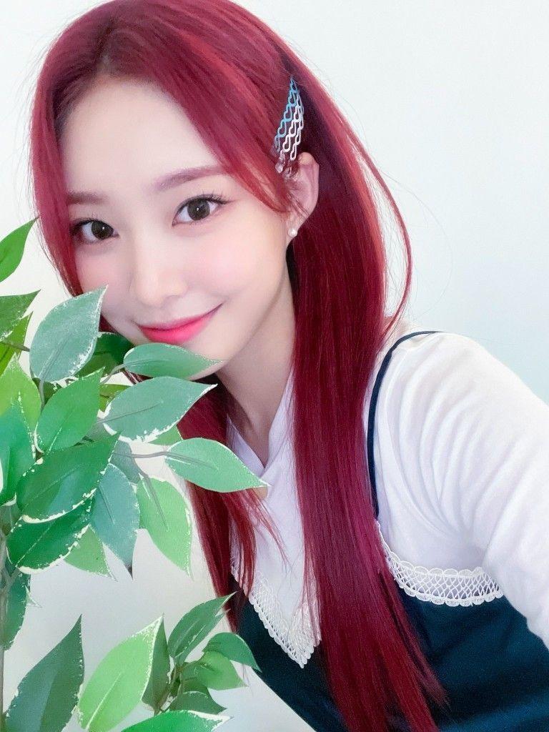 Weeekly 조아3
