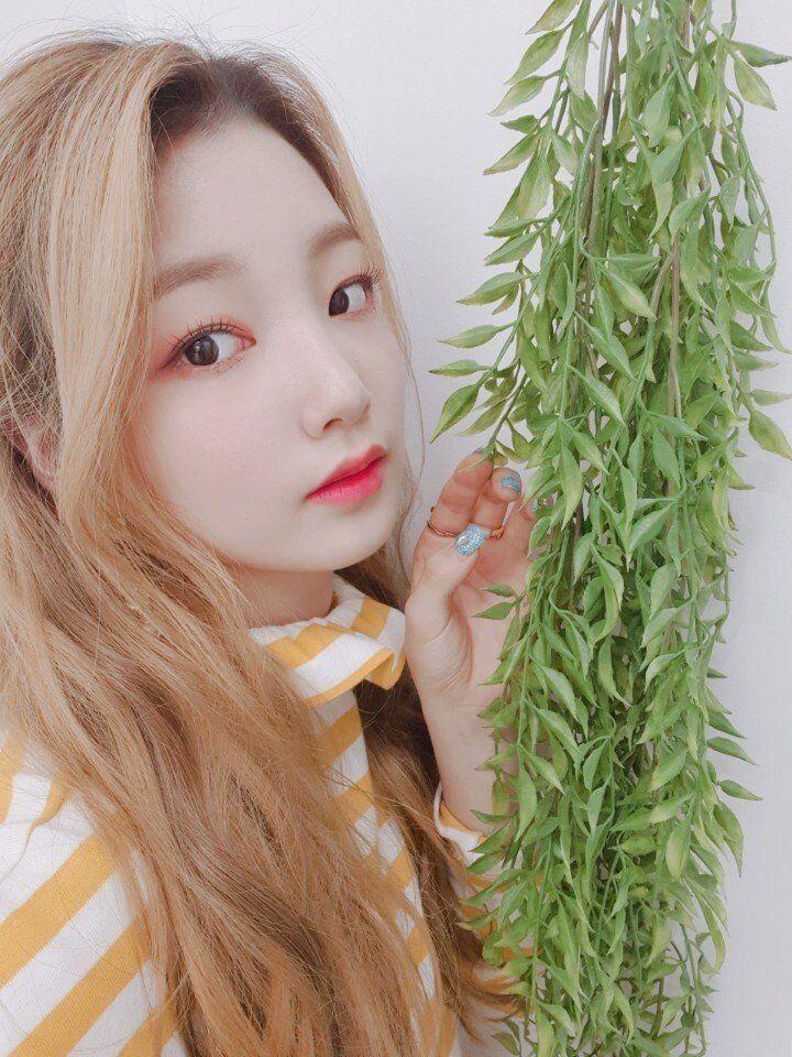 민초 먹은 연희0