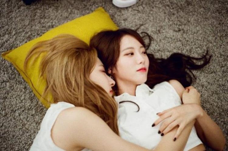쪼꼬미 루다와 대형견 은서 3편1