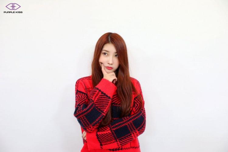 PURPLE K!SS CHAEIN0