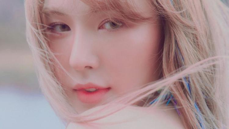 웬디0