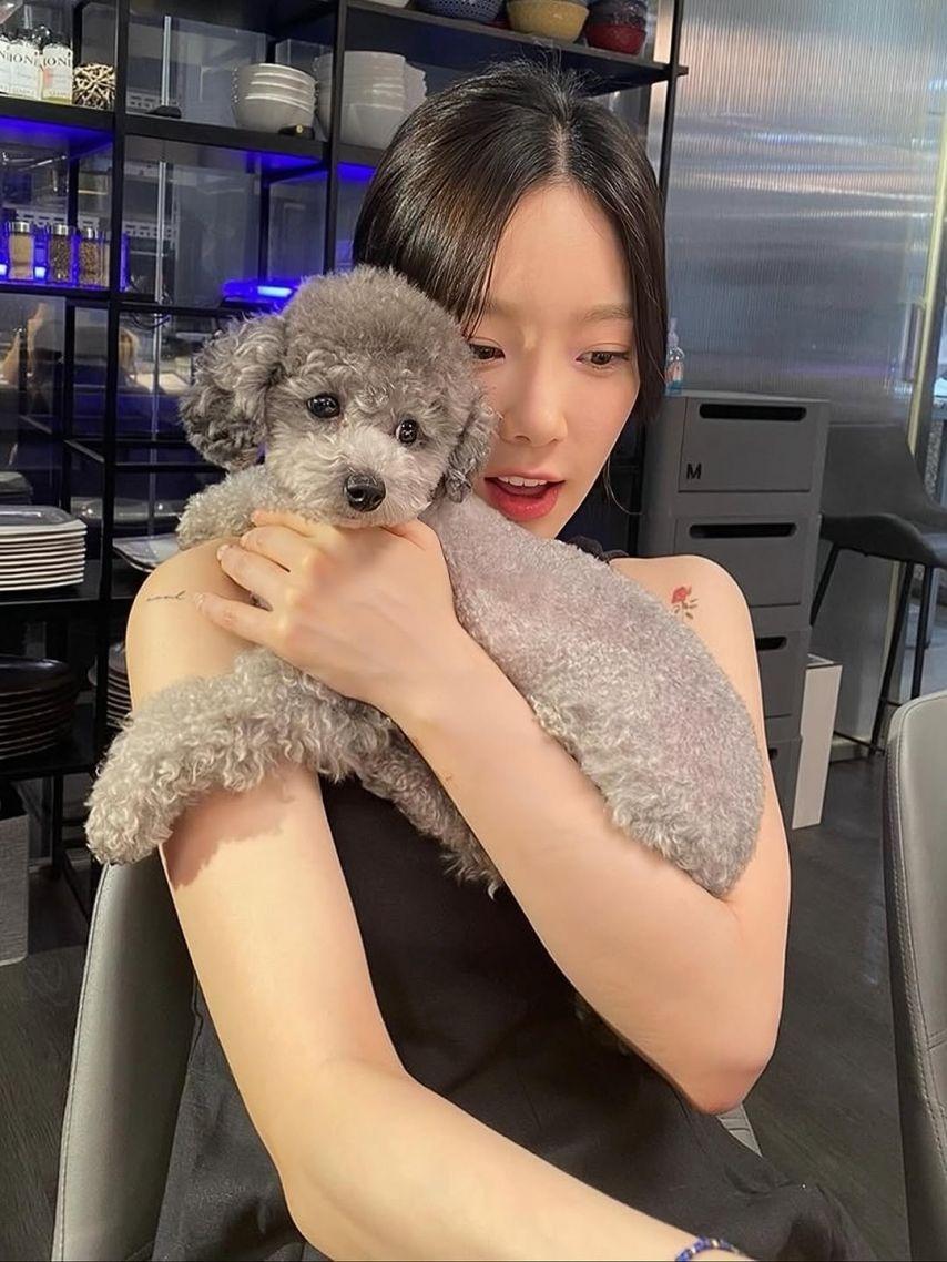 태연0