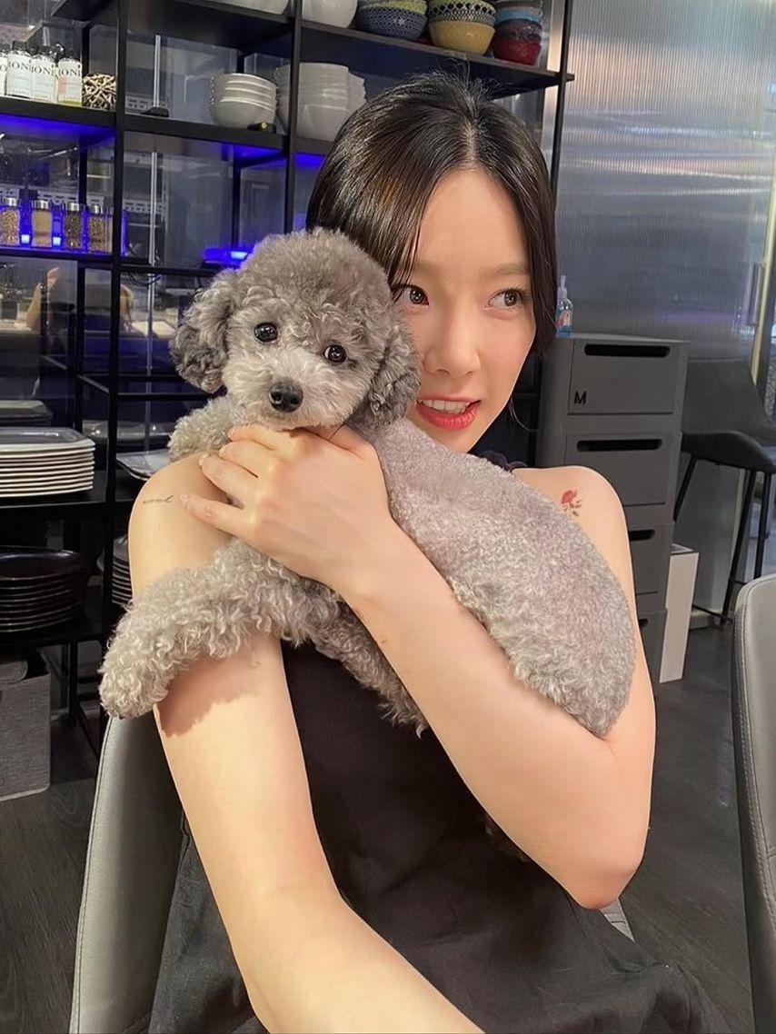태연1