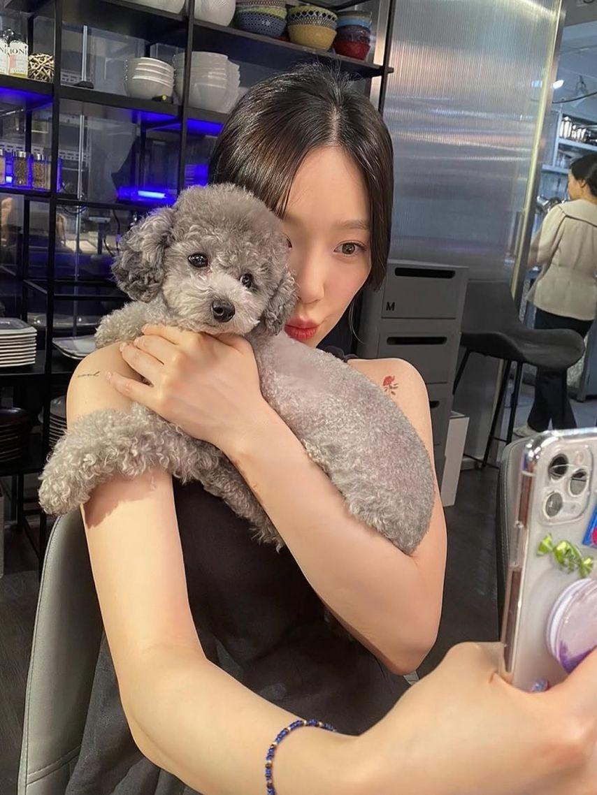 태연3