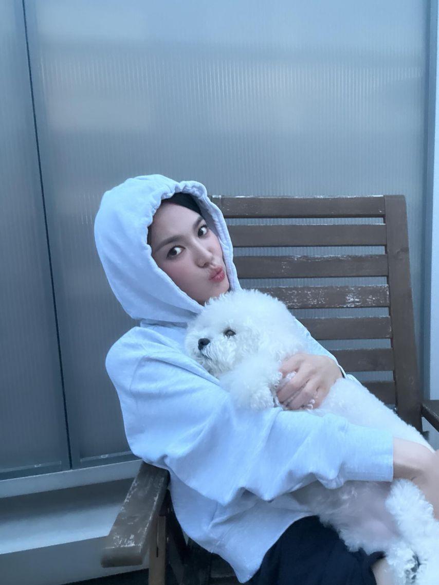 송혜교 SNS1