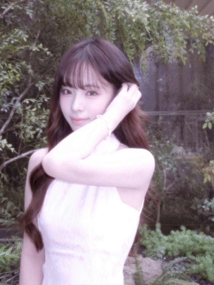 세이마이네임 슈이0