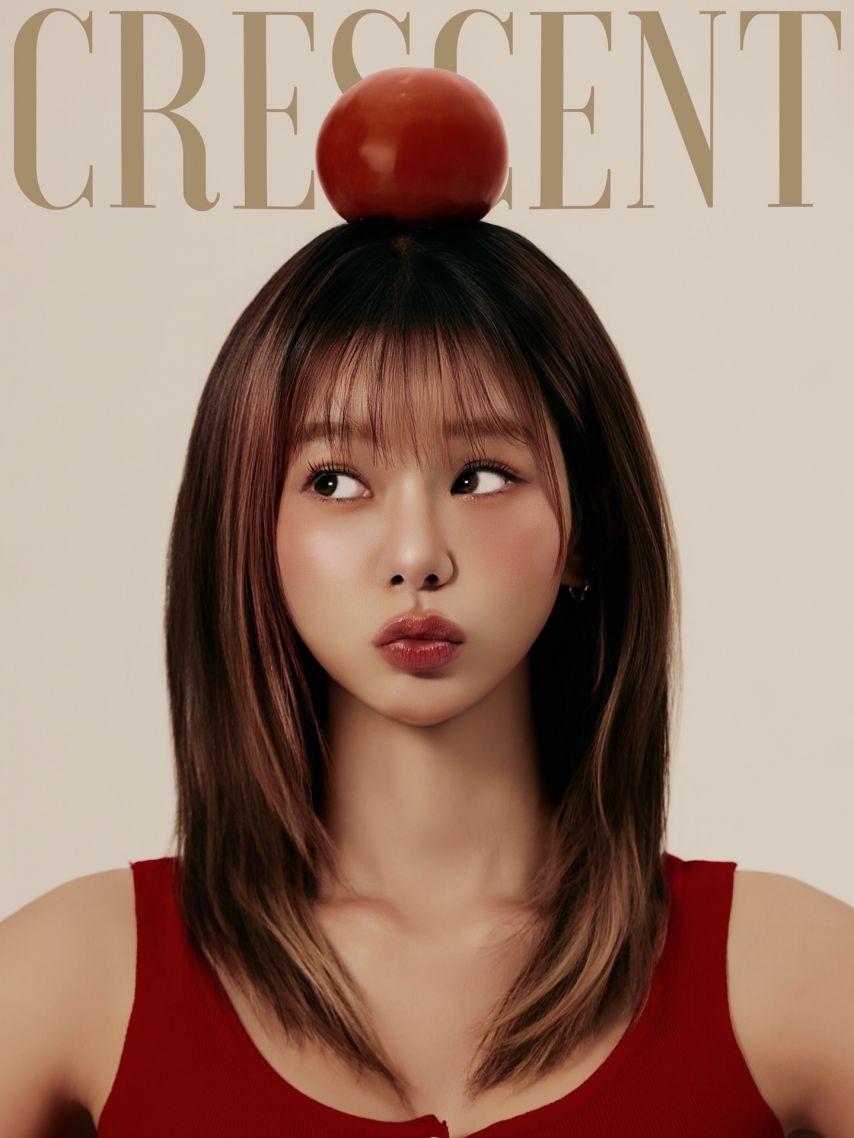맹승지11