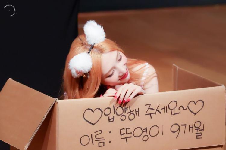 조이 (레드벨벳)2