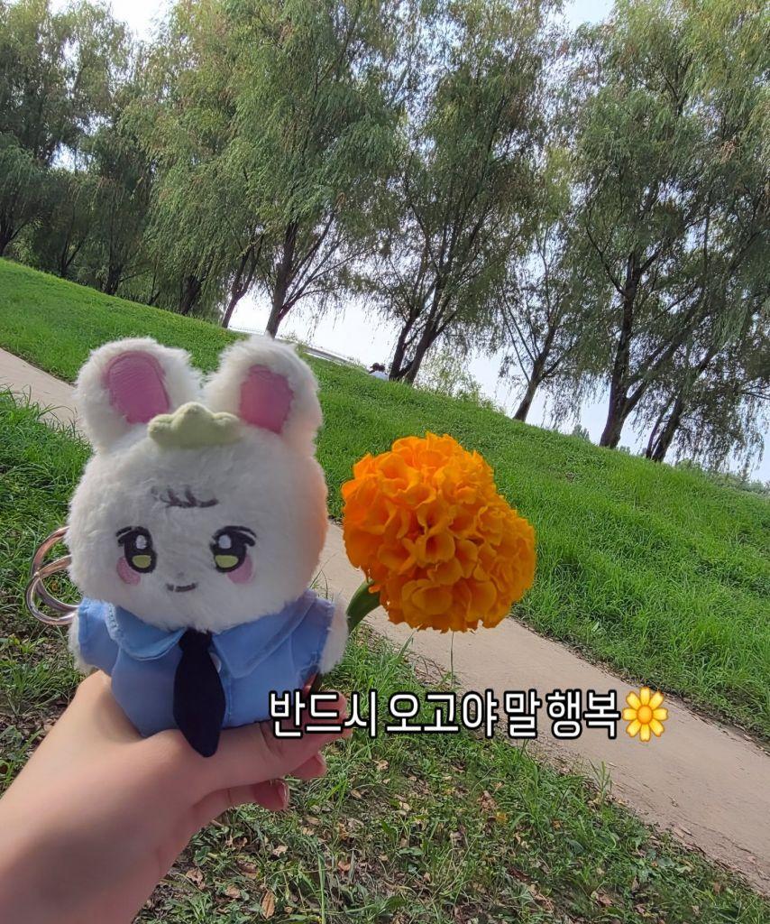 박은빈 은빈노트: Hyper Day/ Piece by Piece 앨범 발매10