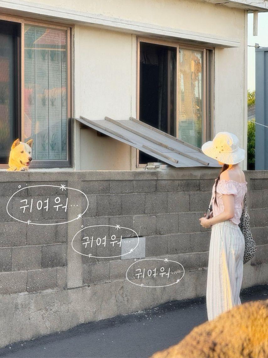 조아람 인별1