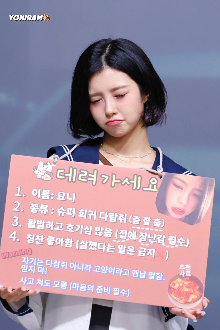 케플러 김다연5