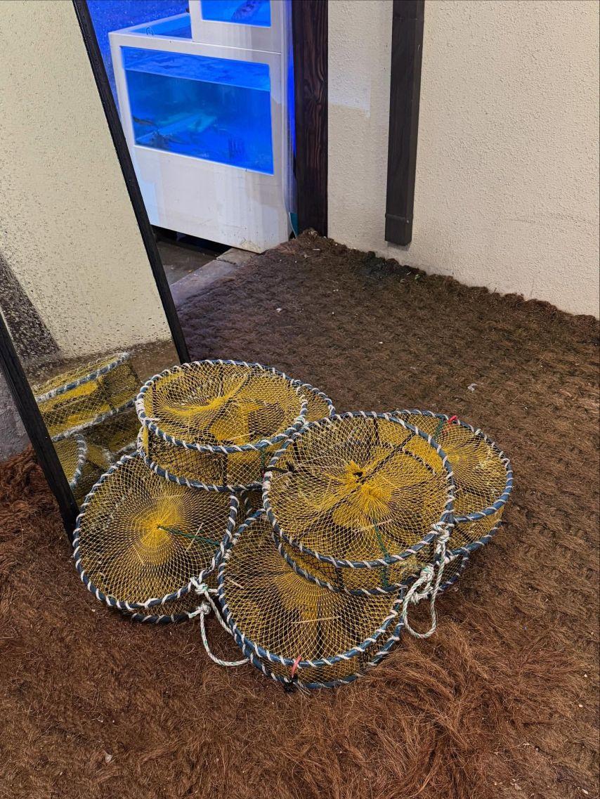 김윤희 아나운서5